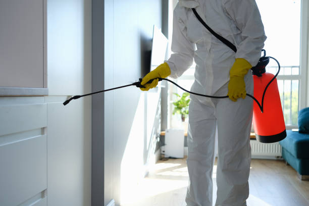 Best Mold Testing and Inspection Services in Libertyvle, IL